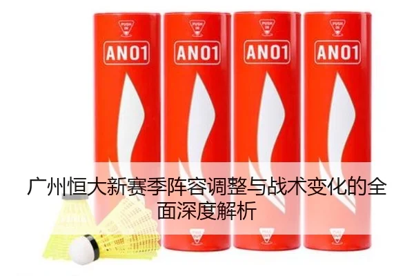 广州恒大新赛季阵容调整与战术变化的全面深度解析