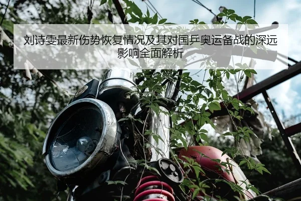 刘诗雯最新伤势恢复情况及其对国乒奥运备战的深远影响全面解析