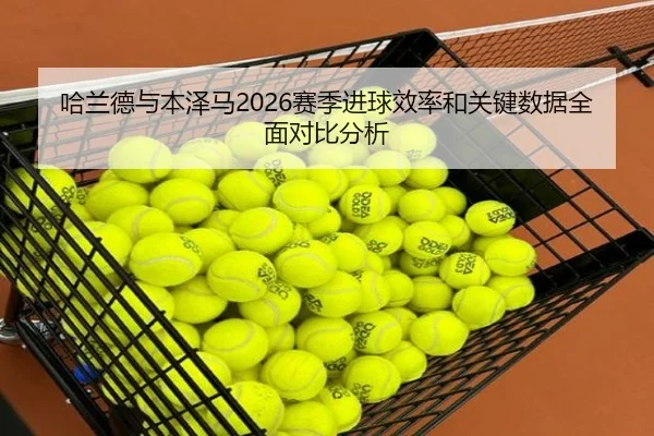 哈兰德与本泽马2026赛季进球效率和关键数据全面对比分析